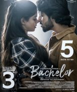 Bachelor (2021) Bachelor (2021)